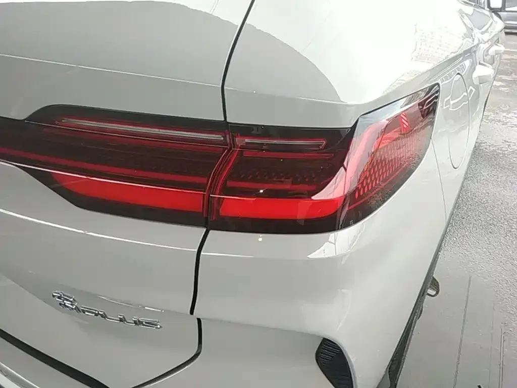 BYD PLUS New Energy — фото 2
