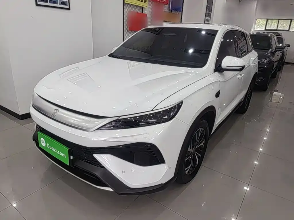 BYD Pro New Energy — фото 6