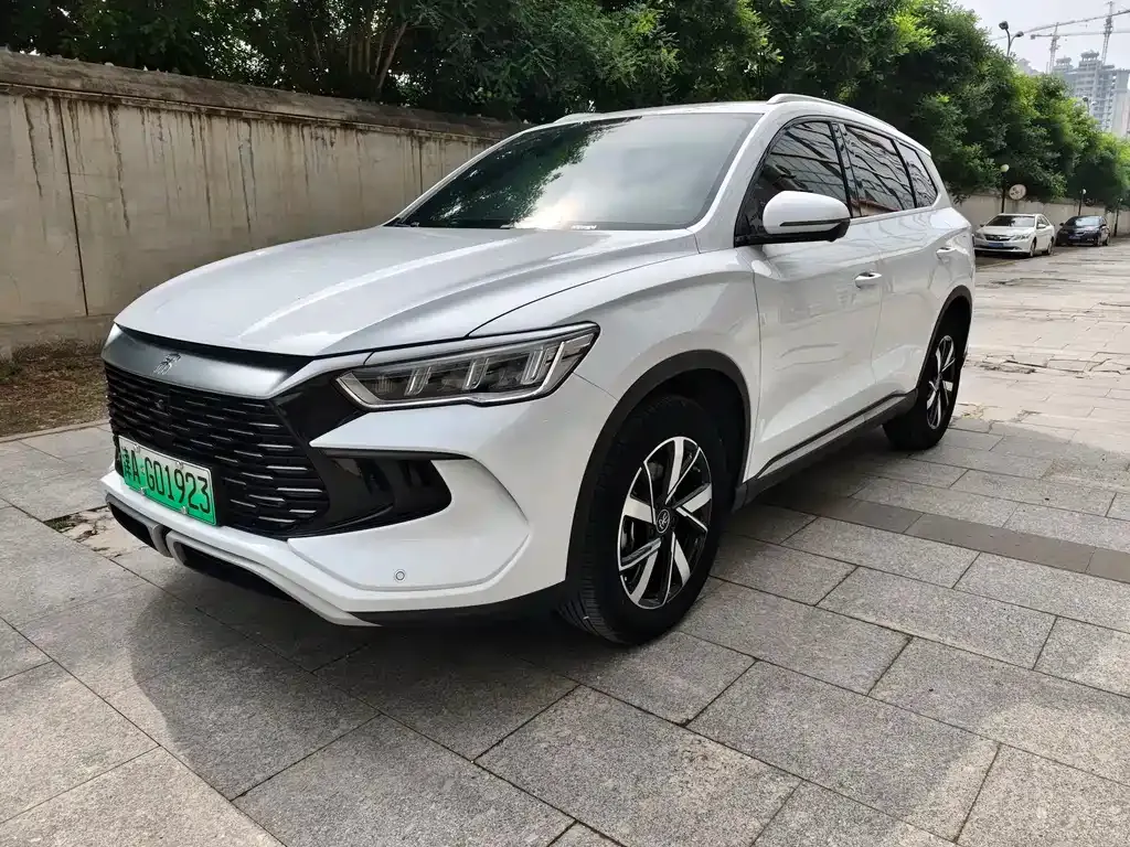 BYD Pro New Energy — фото 1