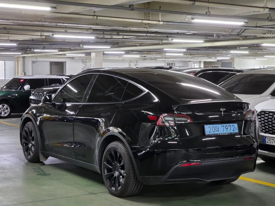 Tesla Model Y — фото 3