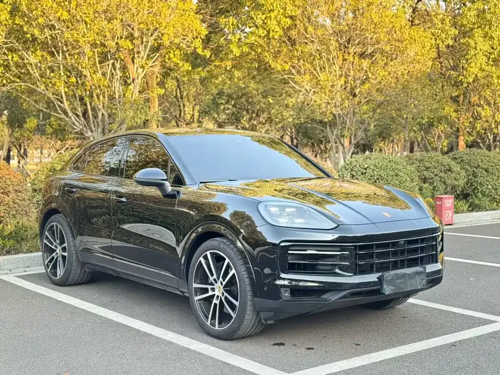 Porsche Cayenne — фото 1