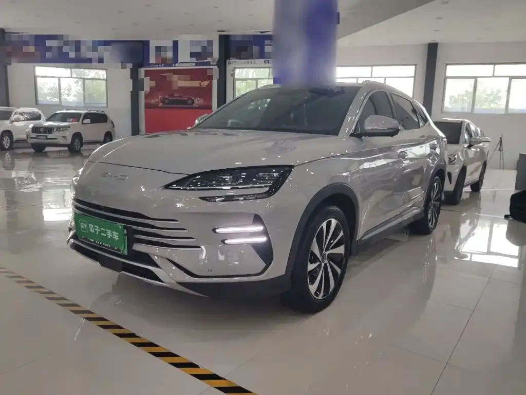 BYD PLUS New Energy — фото 1