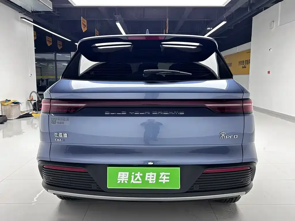 BYD Pro New Energy — фото 4