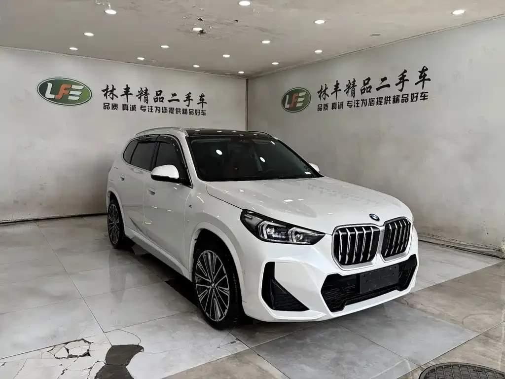 BMW X1 — фото 9
