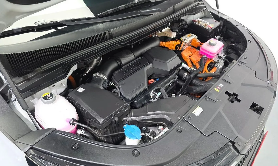 Kia Carnival — фото 10