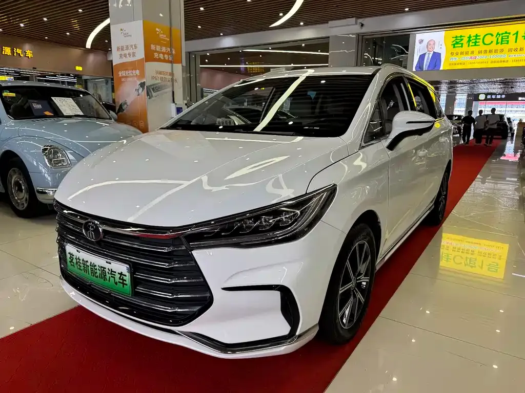 BYD MAX New Energy — фото 1