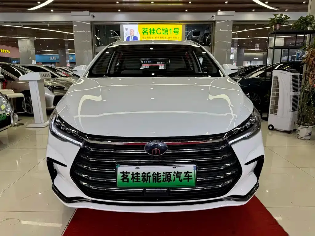 BYD MAX New Energy — фото 8