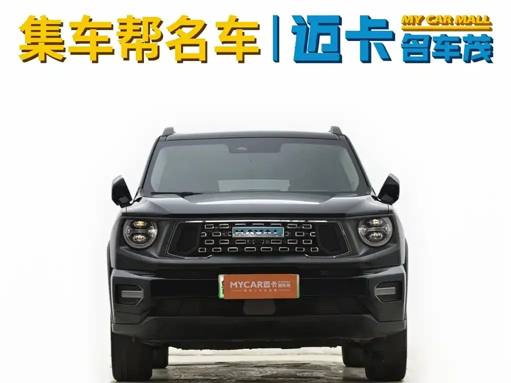 Haval H7 (Big Dog Plus) New Energy — фото 6