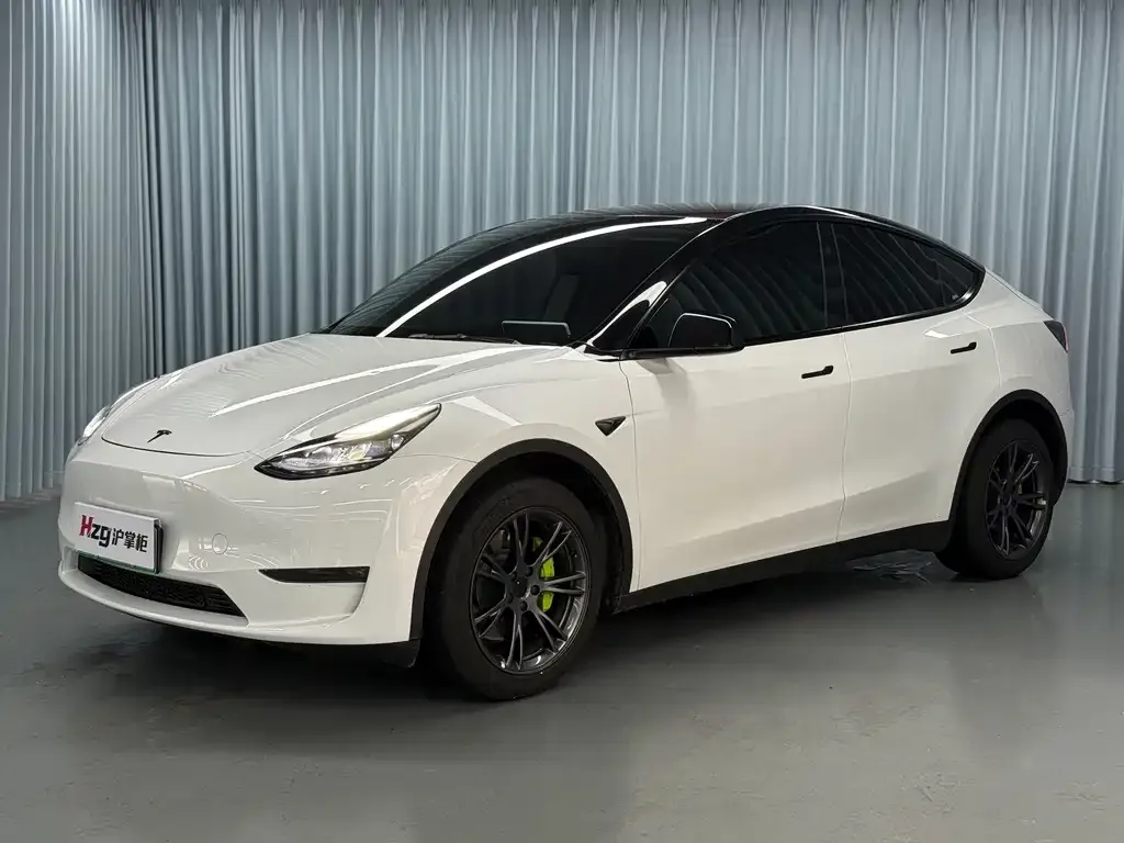 Tesla Model Y — фото 1