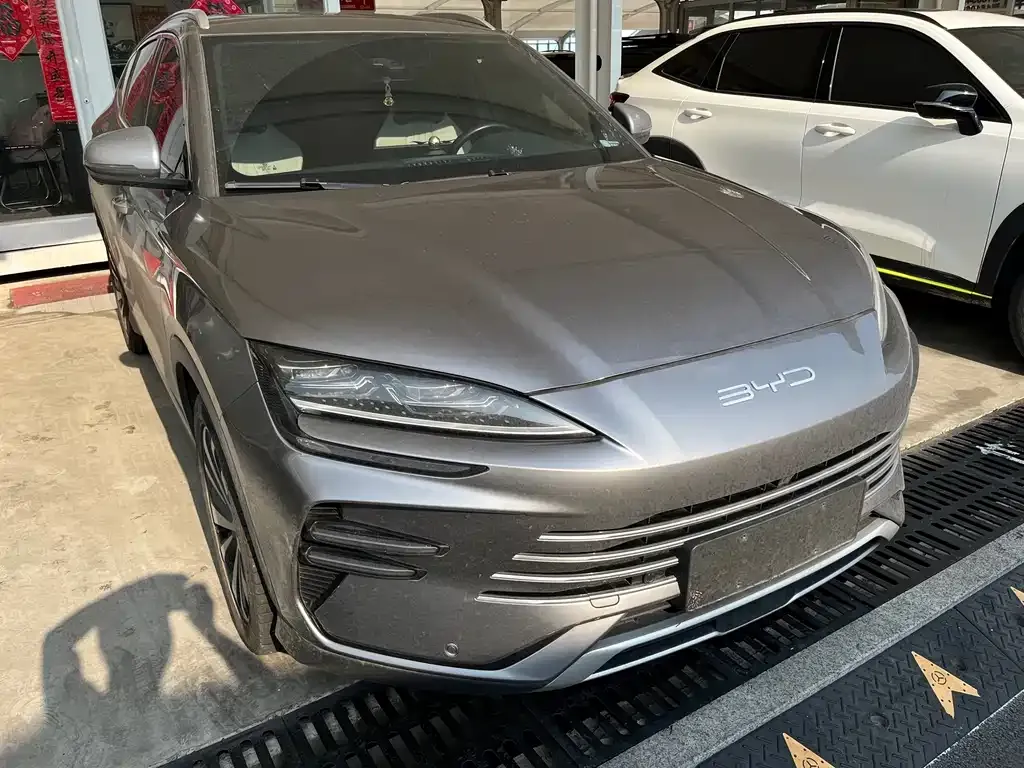 BYD PLUS New Energy — фото 1