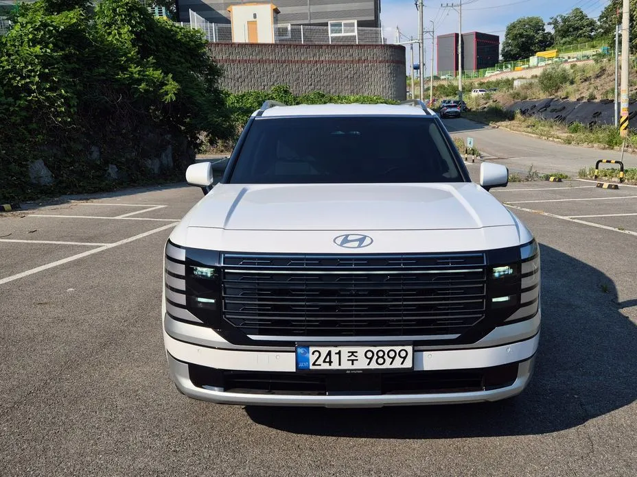 Hyundai Palisade — фото 8