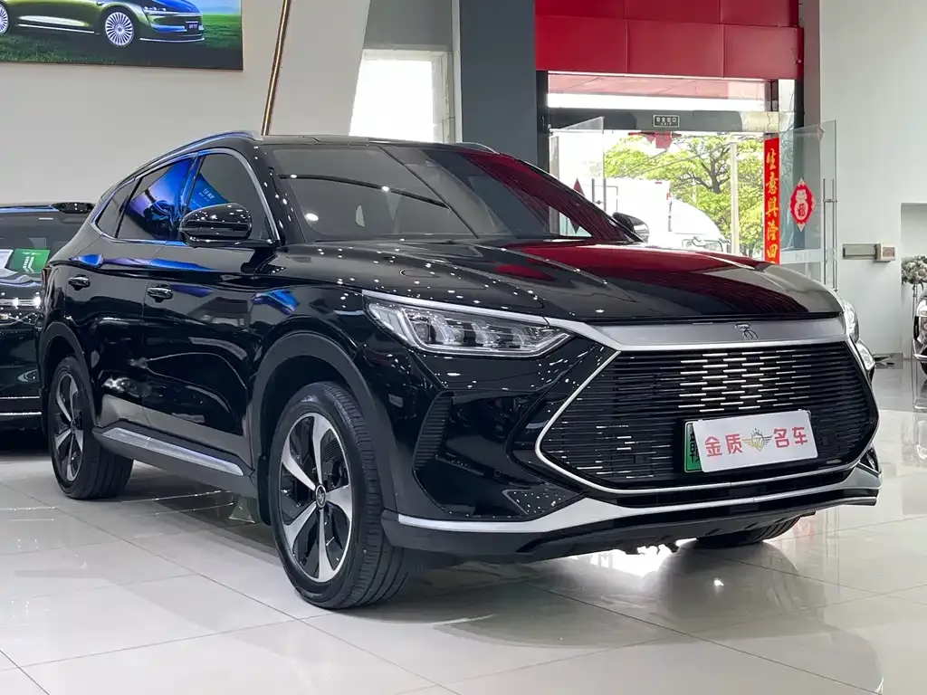 BYD PLUS New Energy — фото 4