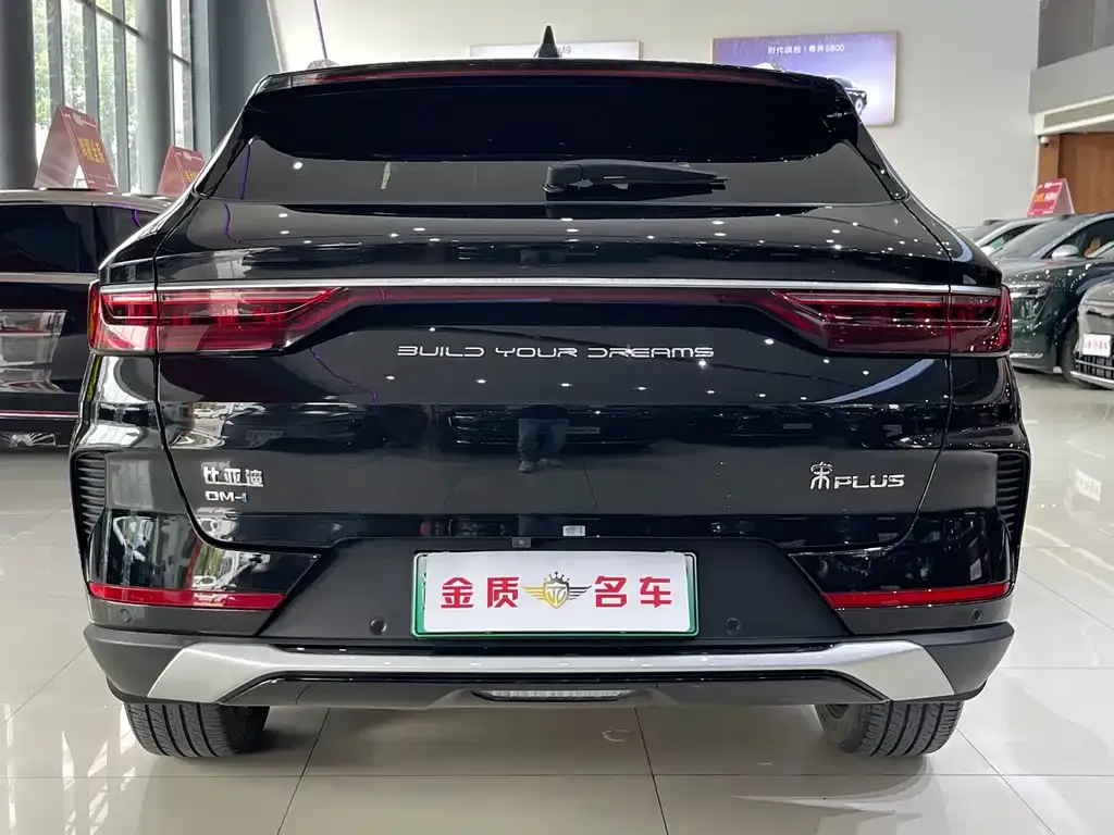BYD PLUS New Energy — фото 5
