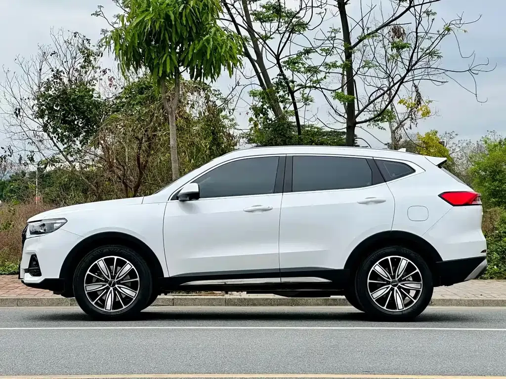 Haval H6 — фото 7