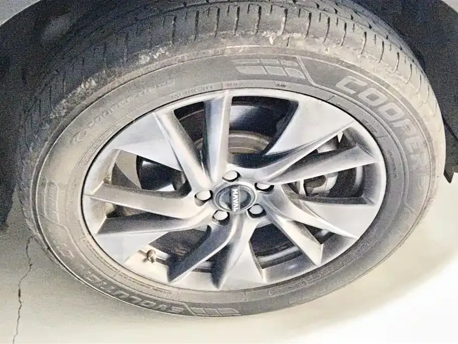 Haval H6 New Energy — фото 10