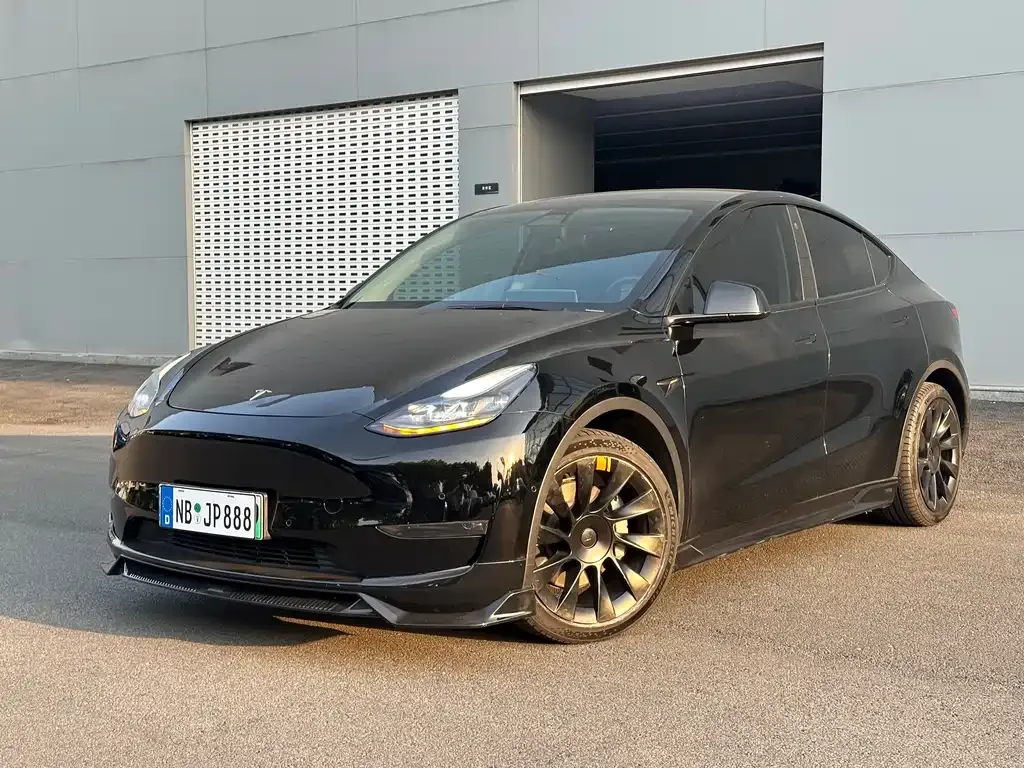 Tesla Model Y — фото 1