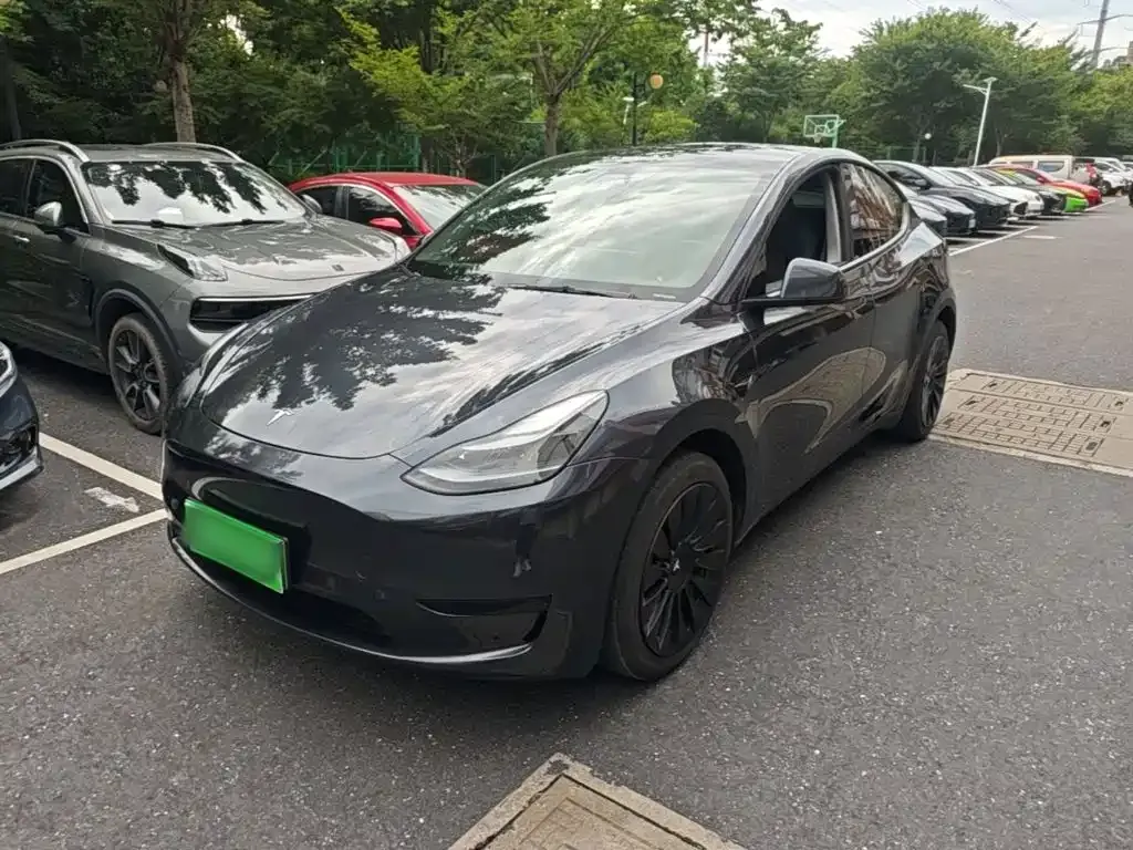 Tesla Model Y — фото 1