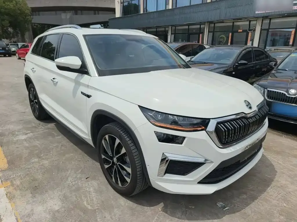 Skoda Kodiaq — фото 6