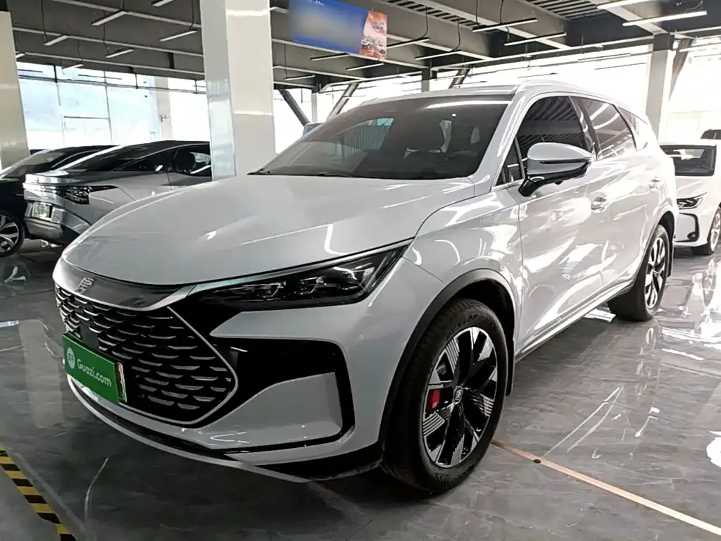 BYD Tang New Energy — фото 1