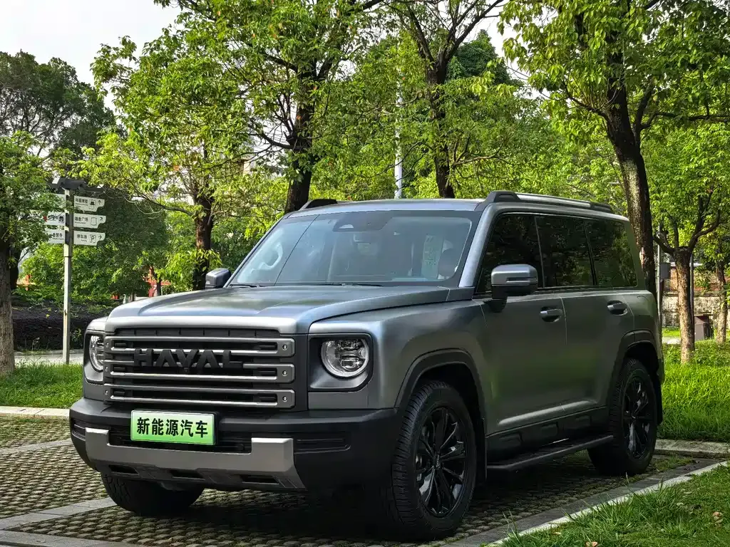 Haval Menglong New Energy — фото 1