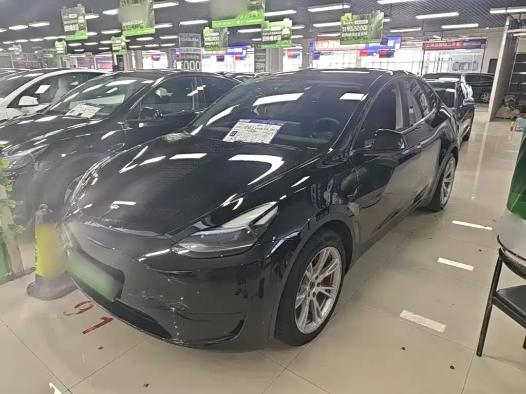 Tesla Model Y — фото 1