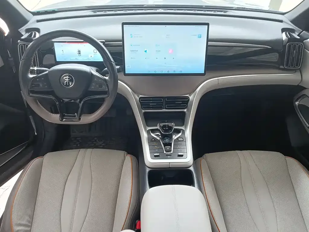 BYD Pro New Energy — фото 8