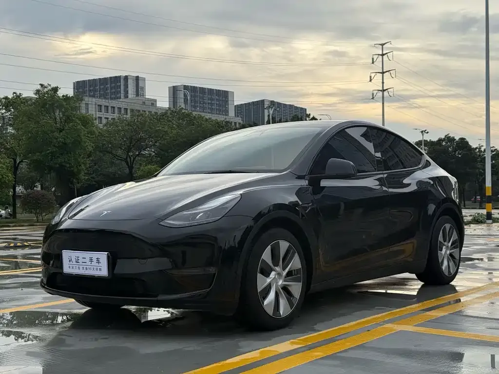 Tesla Model Y — фото 1
