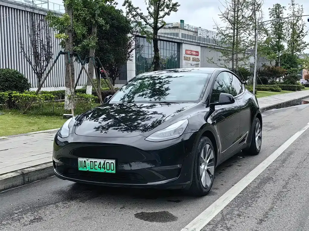 Tesla Model Y — фото 1