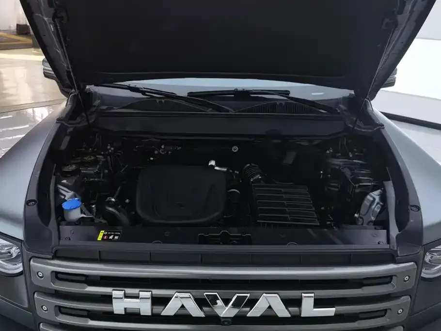 Haval Menglong New Energy — фото 4
