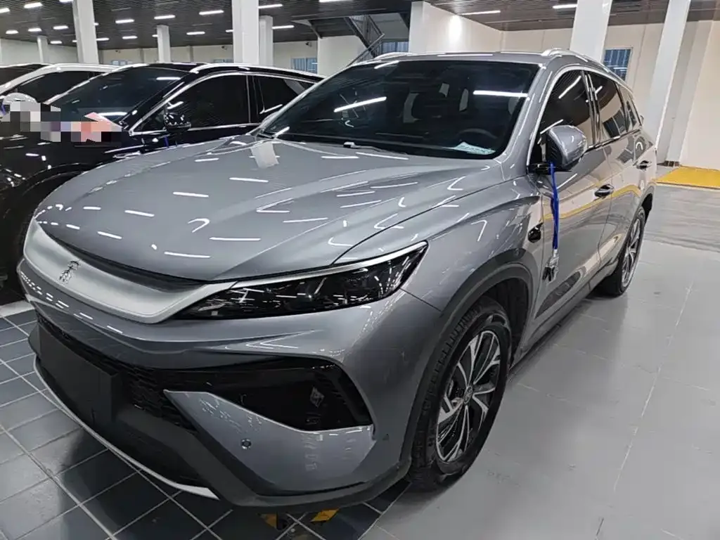 BYD Pro New Energy — фото 9