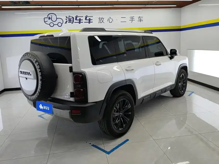 Haval Menglong New Energy — фото 10