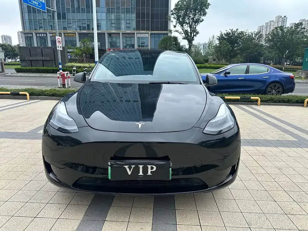 Tesla Model Y — фото 1