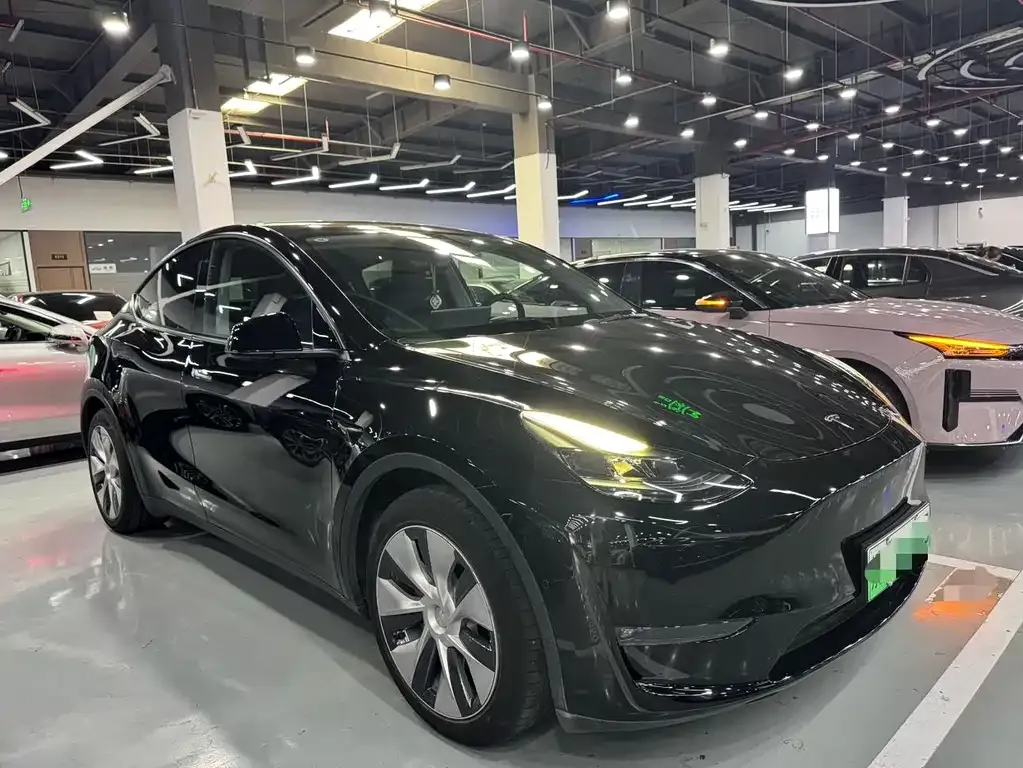 Tesla Model Y — фото 10