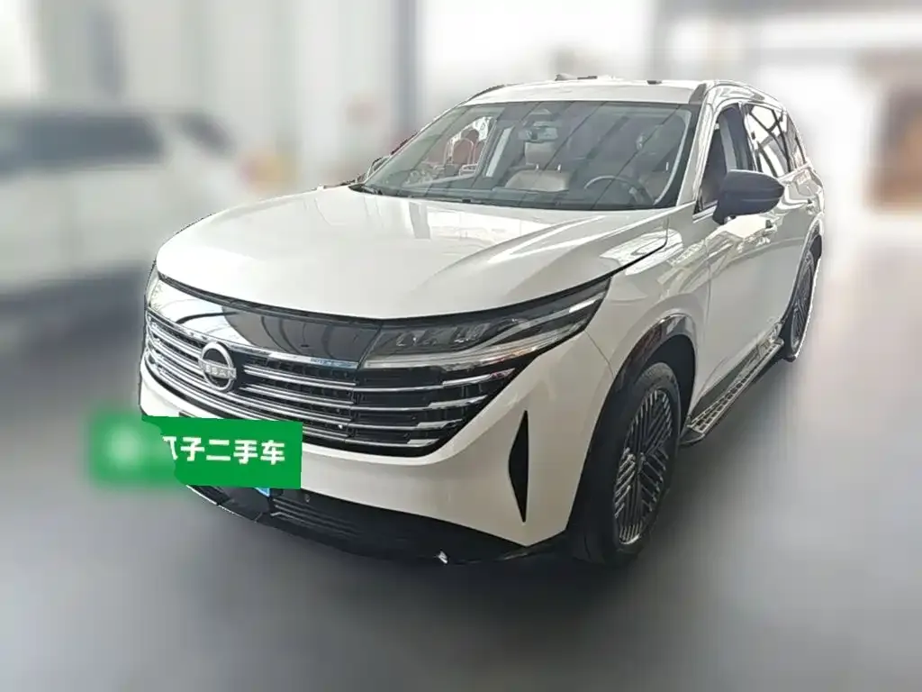 Nissan Teramont — фото 10