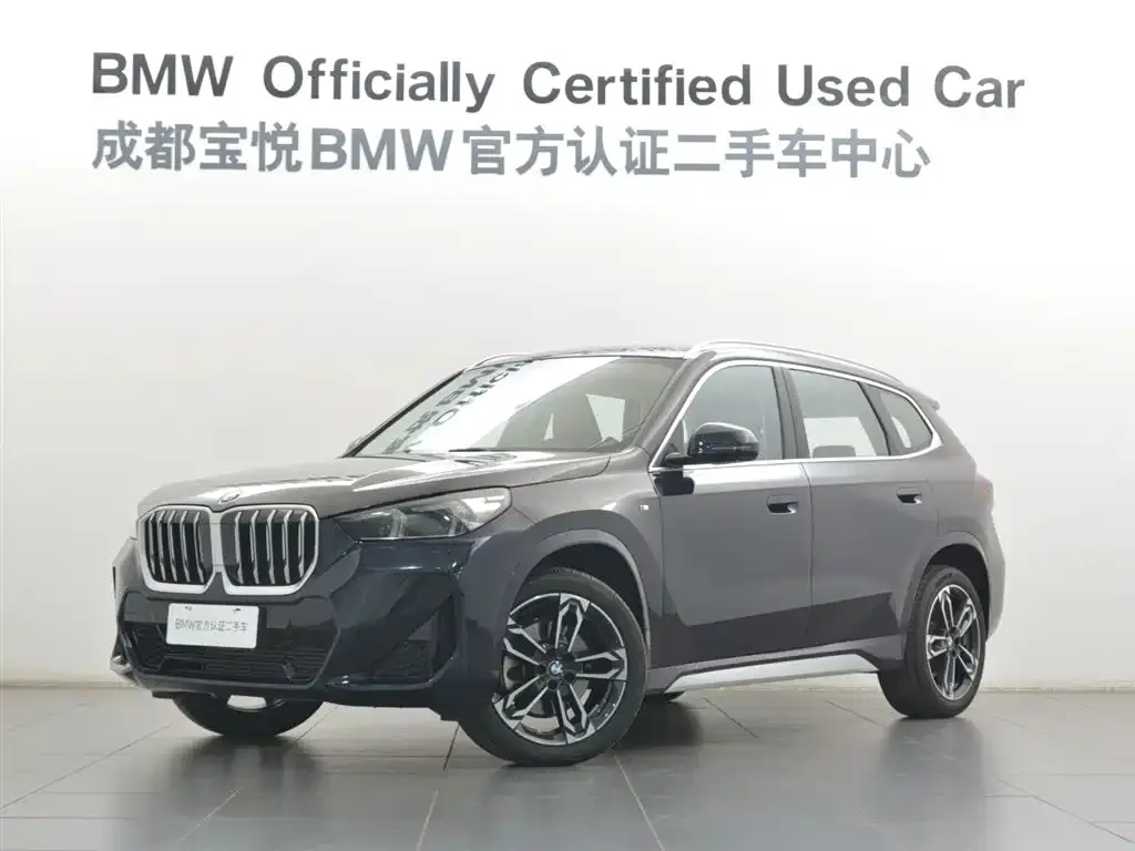 BMW X1 — фото 1