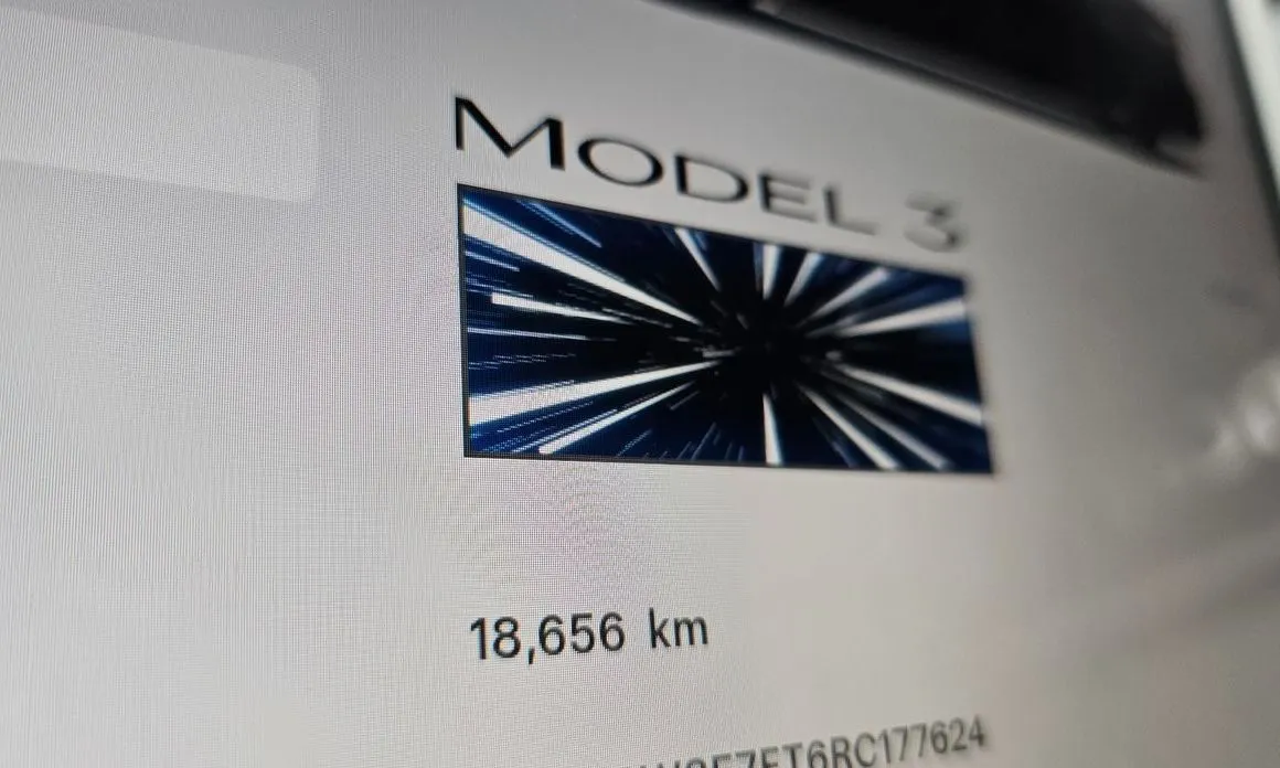 Tesla Model 3 — фото 4