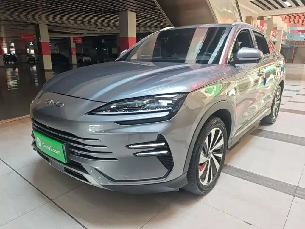 BYD PLUS New Energy — фото 2