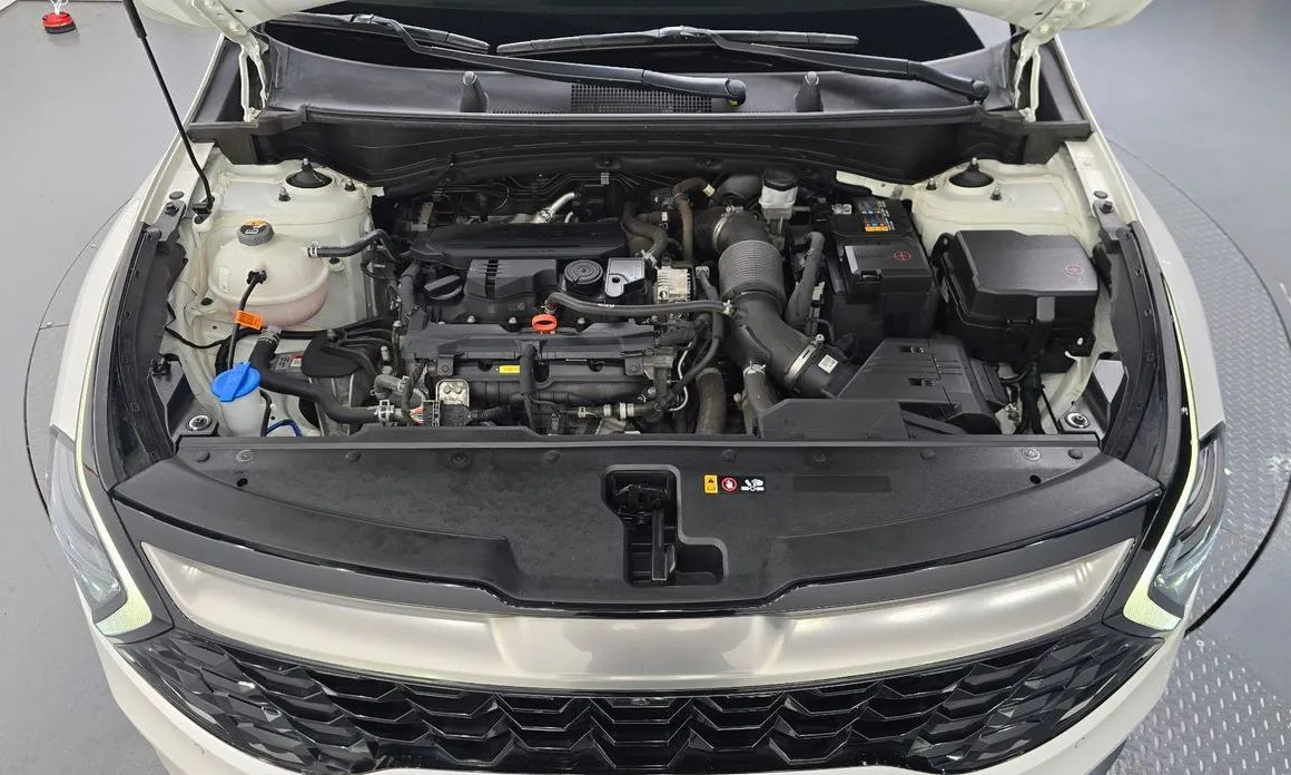 Kia Sportage — фото 5