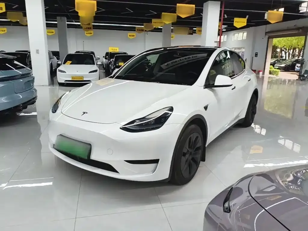 Tesla Model Y — фото 1