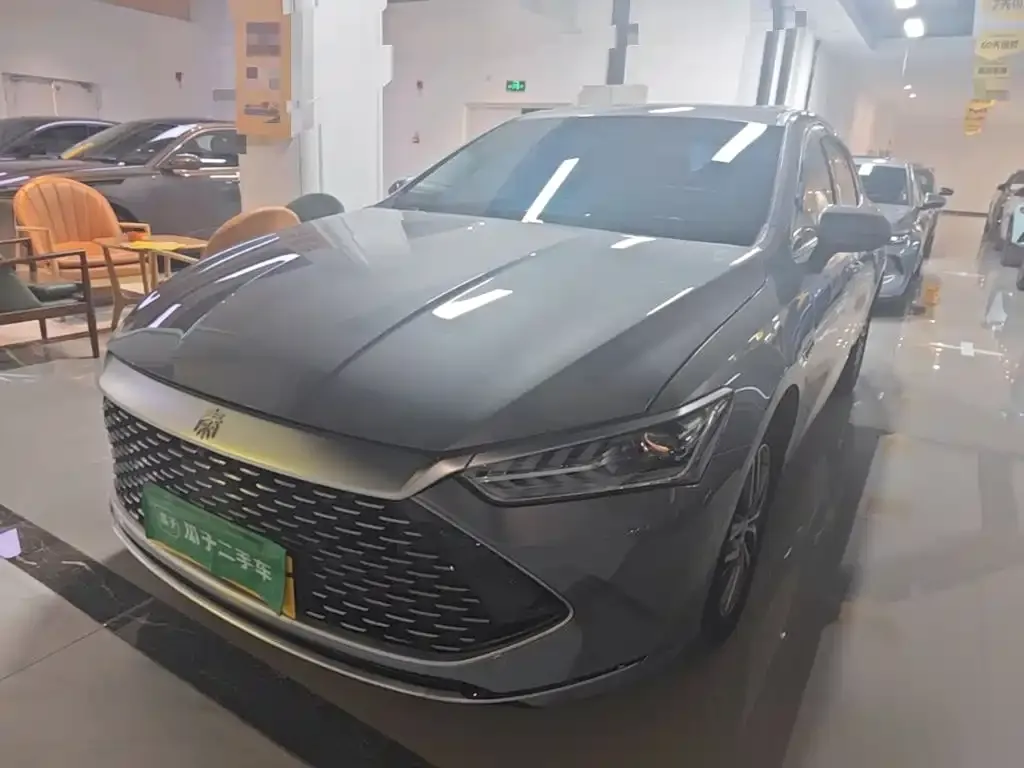 BYD Qin PLUS — фото 1