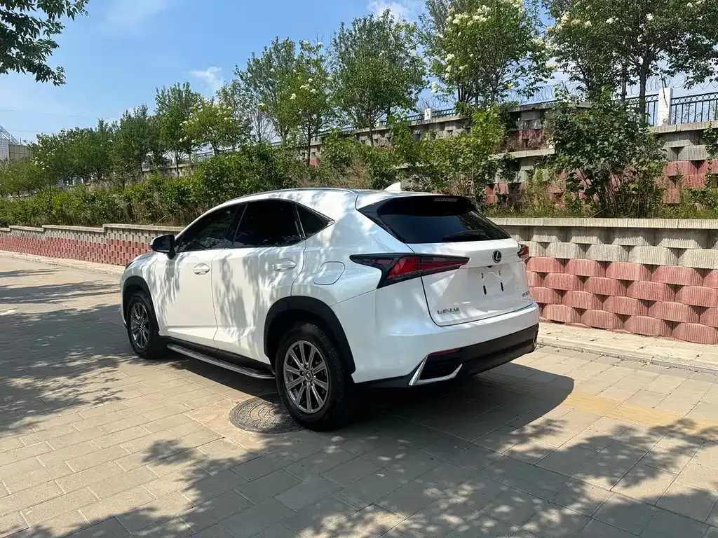 Lexus NX — фото 6
