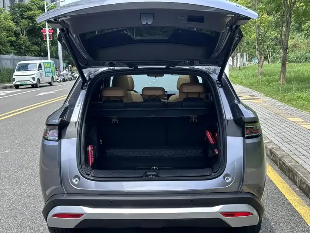 BYD L DM-i — фото 6