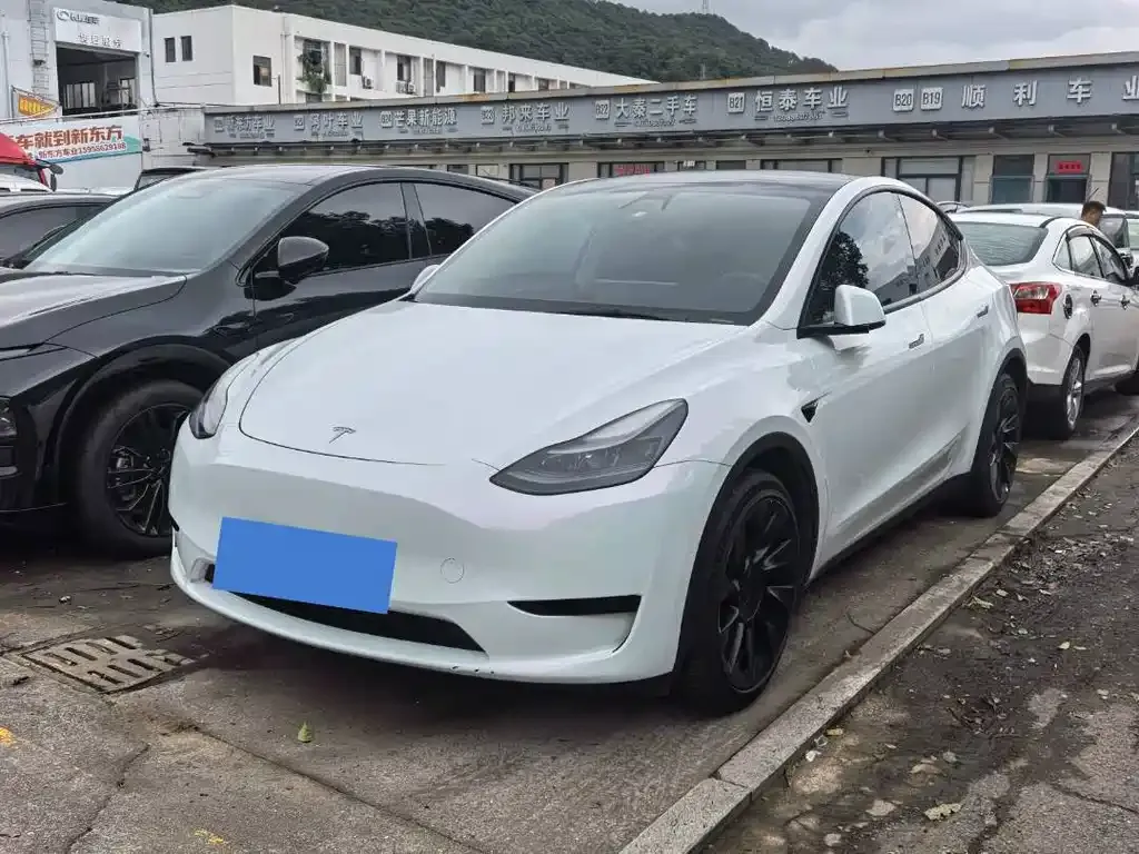 Tesla Model Y — фото 1