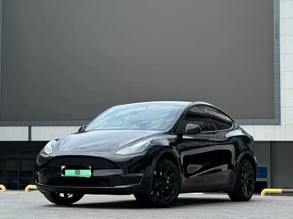 Tesla Model Y — фото 1