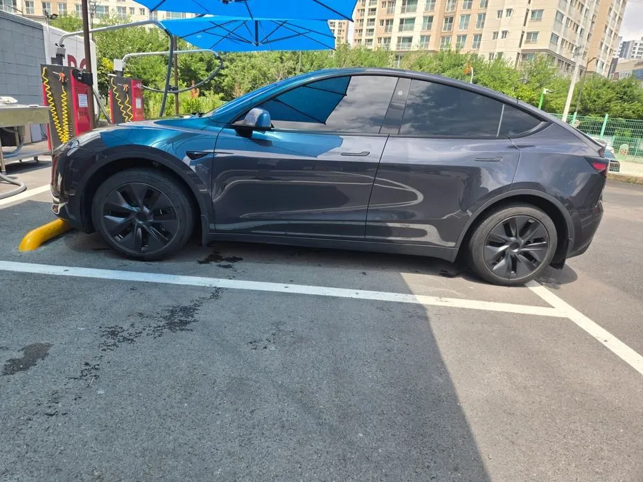 Tesla Model Y — фото 10