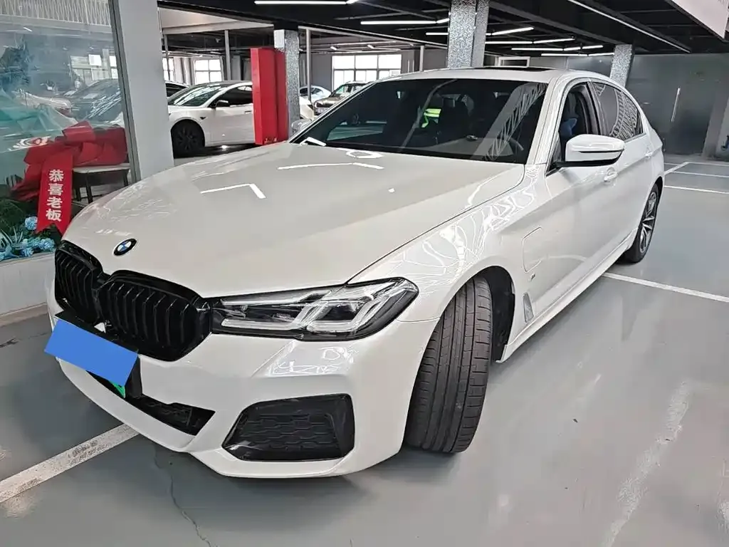 BMW 5 Series New Energy — фото 1