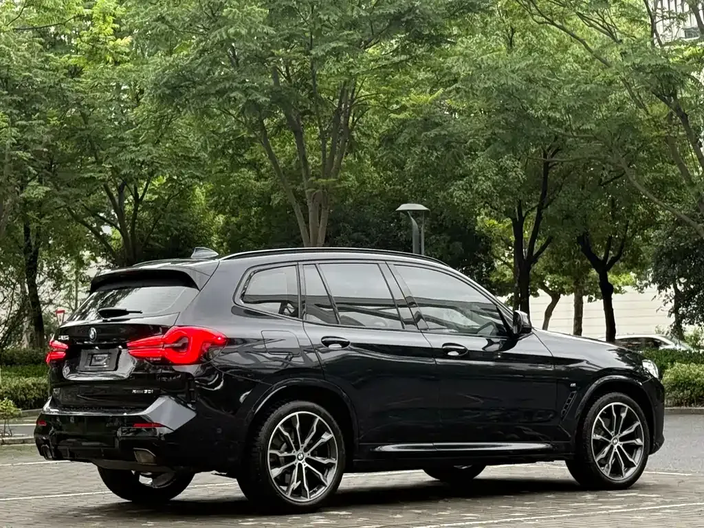BMW X3 — фото 6