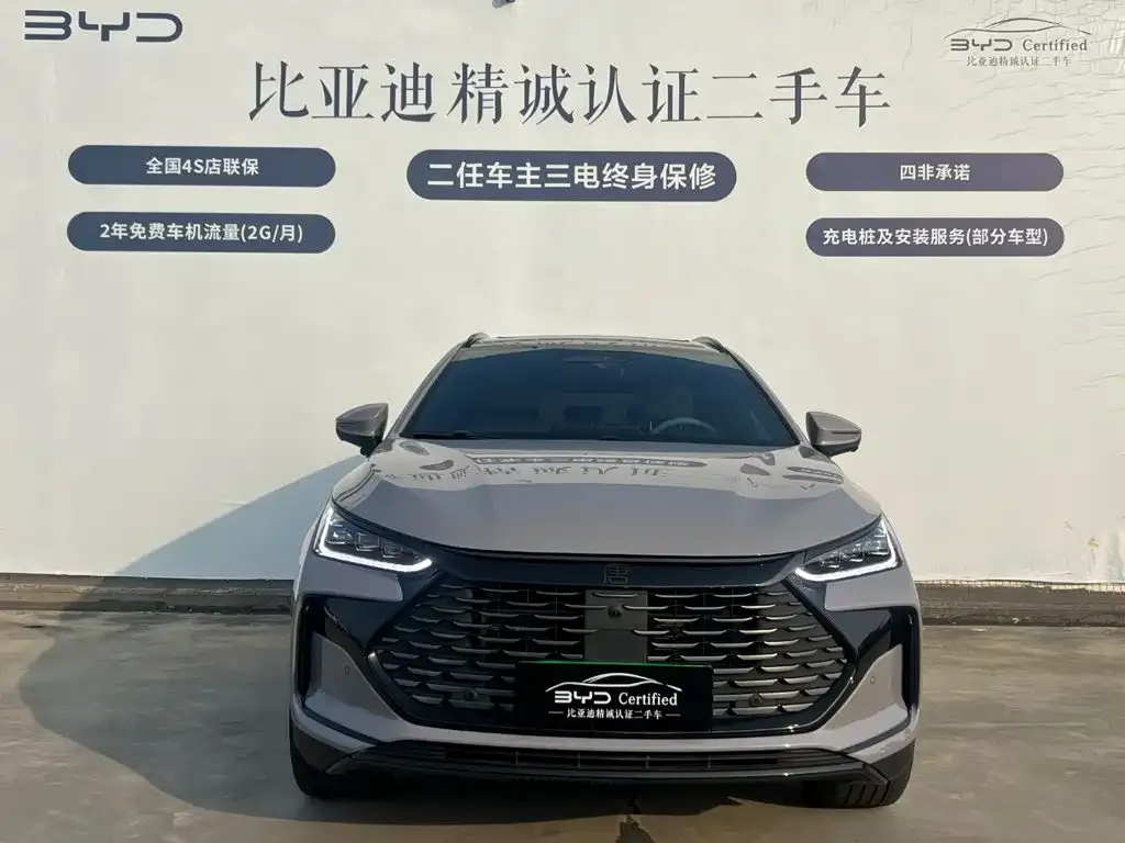 BYD Tang New Energy — фото 6