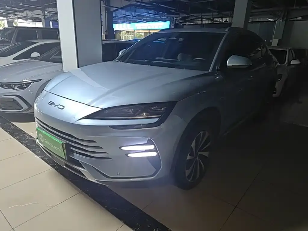 BYD PLUS New Energy — фото 4