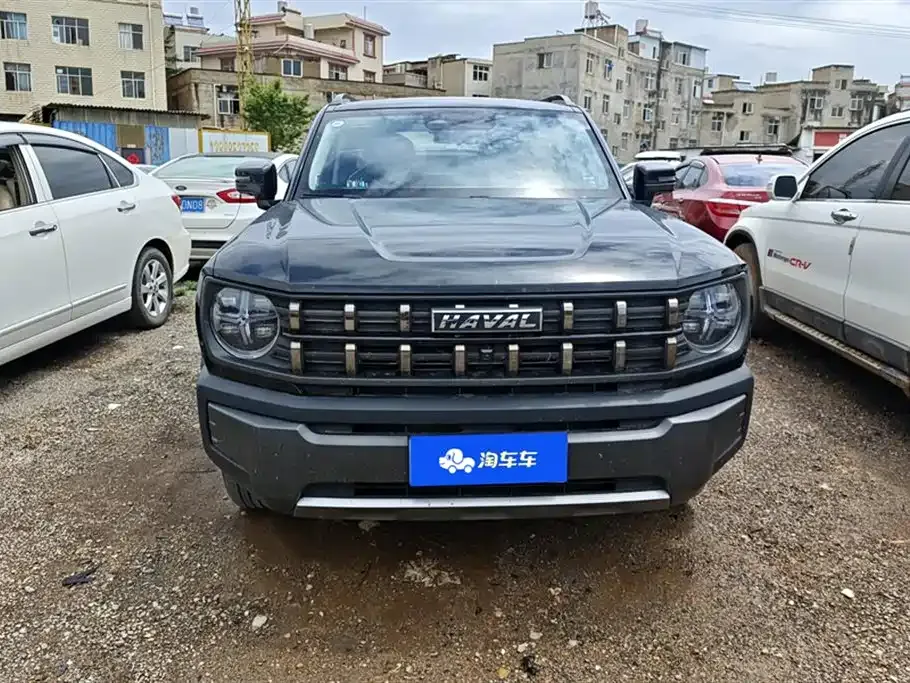 Haval Cool Dog — фото 9